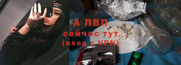 эйфоретик Гусев