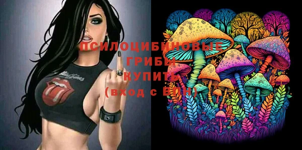 эйфоретик Гусев