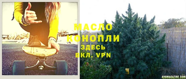 молекула духа Гусиноозёрск