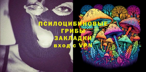 эйфоретик Гусев