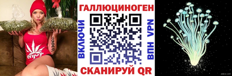 Купить где  Белокуриха  Псилоцибиновые грибы GOLDEN TEACHER 